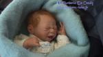 bebe reborn