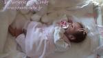 bebe reborn