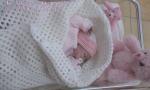 bebe reborn
