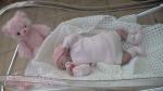 bebe reborn
