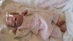 bebe reborn